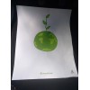 ALFOMBRA PISO ECO 500 UDS,